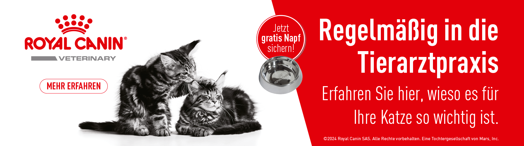 Regelmäßig in die Tierarztpraxis