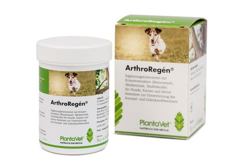 ArthroRegén Tabletten bei Gelenkproblemen von PlantaVet - 160 Tabletten