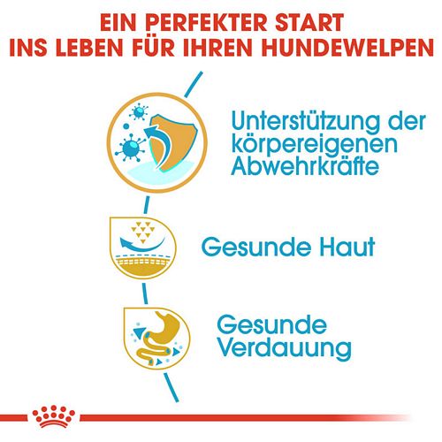 Royal Canin Pug Puppy Welpenfutter trocken für Mops Vorteile