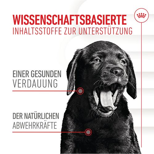Royal Canin - IMMUNITY & DIGESTION CHEWS PUPPY SUPPLEMENTS Anforderung
