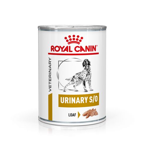 Royal Canin Veterinary URINARY S/O Mousse Nassfutter für Hunde 12 x 410 g