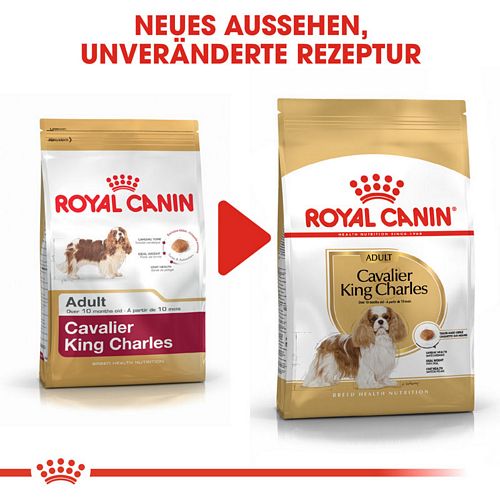 Royal Canin Cavalier King Charles Adult Hundefutter trocken