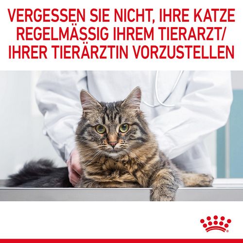 Royal Canin Appetit Control in Soße 12 x 85g