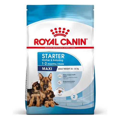 Royal Canin MAXI Starter für tragende Hündin und Welpen großer Rassen 15 kg