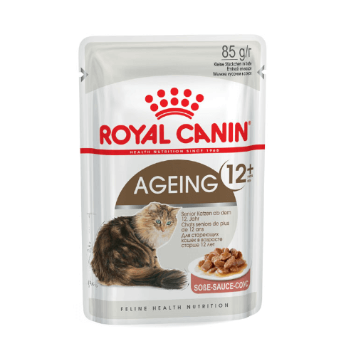 Royal Canin Oral Care Trockenfutter für Katzen
