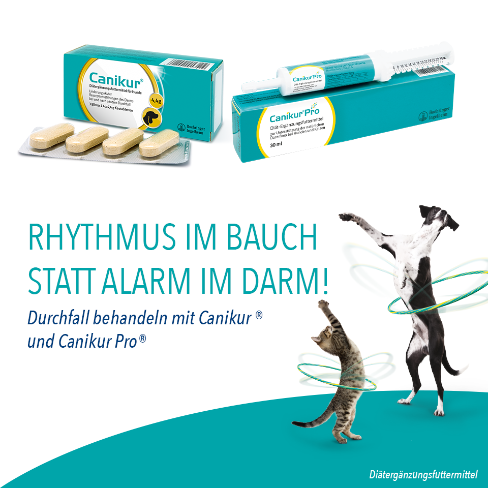 Rhytmus im Bauch statt Alarm im Darm Rhytmus im Bauch statt Alarm im Darm
