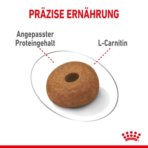 Royal Canin LIGHT WEIGHT CARE MAXI Trockenfutter für zu Übergewicht neigenden Hunden