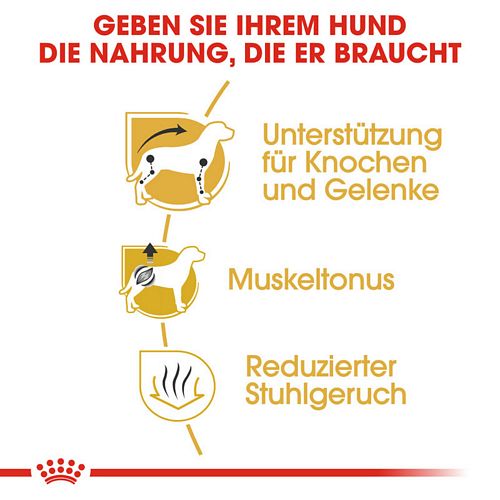 Royal Canin Dachshund Adult Trockenfutter für Dackel