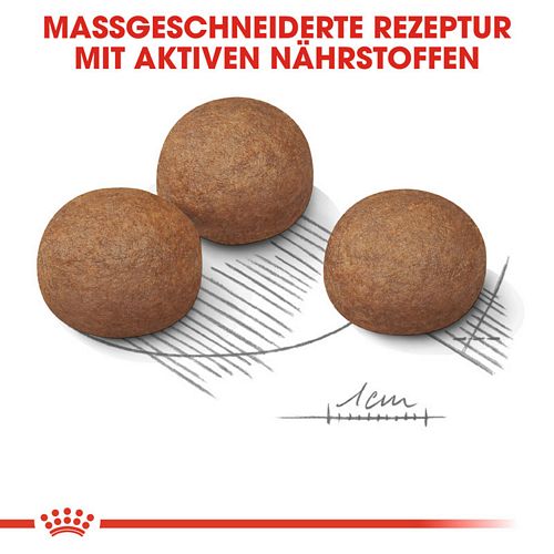Royal Canin - DIGESTIVE CARE MAXI - Trockenfutter Hund  Kroketten