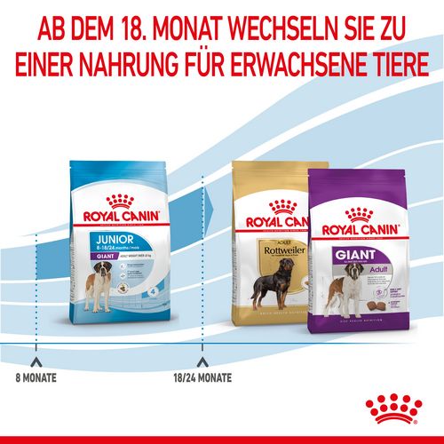 Royal Canin GIANT Junior Welpenfutter trocken Wechsel