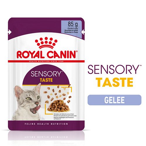 Royal Canin SENSORY Taste Nassfutter in Gelee für wählerische Katzen 12 x 85 g