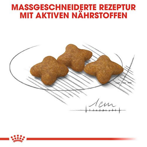 Royal Canin STERILISED X-SMALL Trockenfutter Kroketten