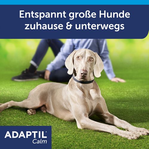 ADAPTIL Calm Halsband - Anti Stress Erziehungshalsband für mittelgroße & große Hunde