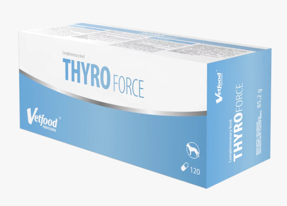 ThyroForce Kapseln von Vetfood