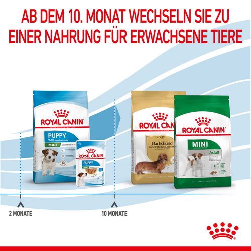 Royal Canin MINI Puppy Trockenfutter für Welpen kleiner Hunderassen 2 kg