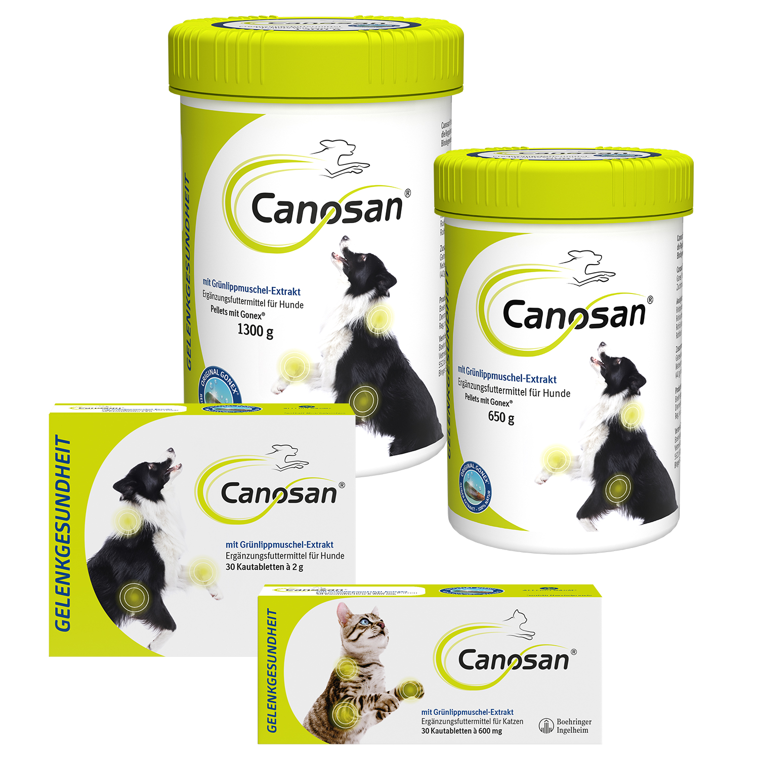 Boehringer Ingelheim-Canosan-HUND-Family