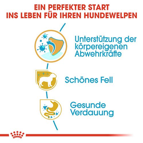 Royal Canin Yorkshire Terrier Puppy Welpenfutter trocken Vorteile