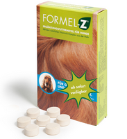 Formel Z Hund 1