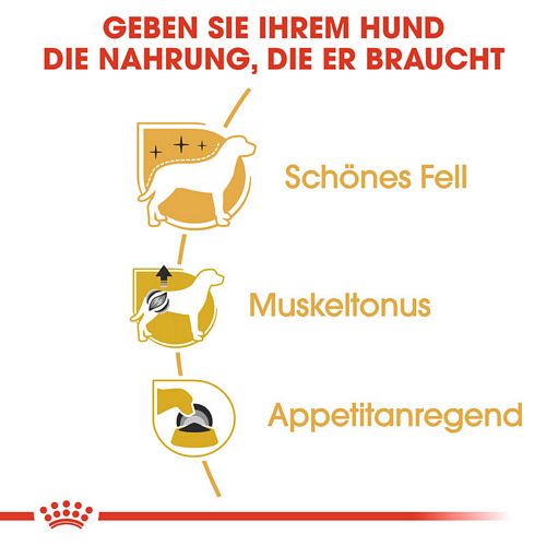 Royal Canin Poodle Adult in Soße Hundefutter nass Vorteile