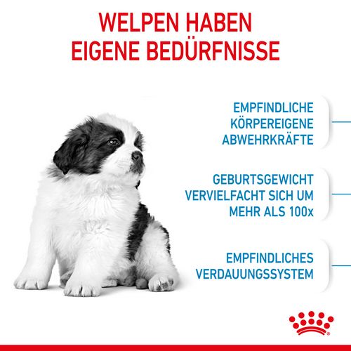 Royal Canin GIANT Puppy Trockenfutter Anforderungen