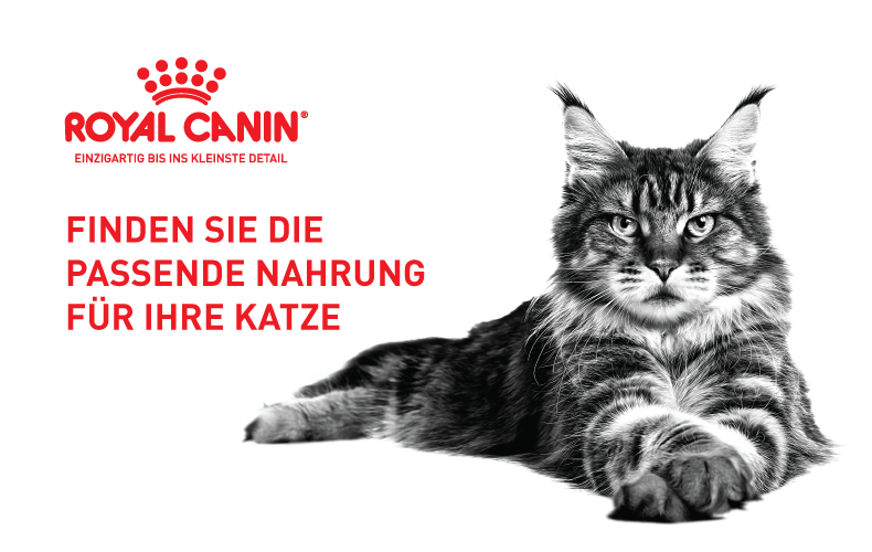 Royal Canin Finden Sie die passende Nahrung für Ihre Katze Royal Canin Finden Sie die passende Nahrung für Ihre Katze