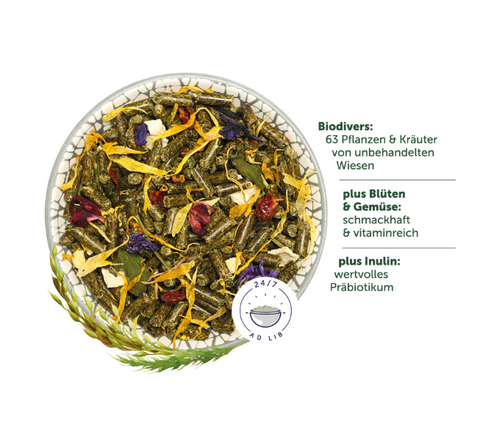 Bunny - DeguTraum - 1,2 kg