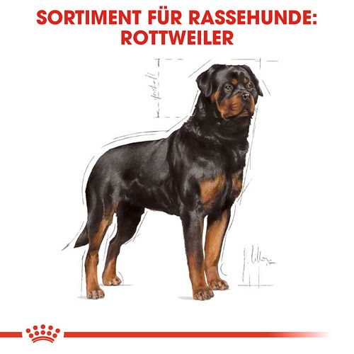 Royal Canin Rottweiler Adult