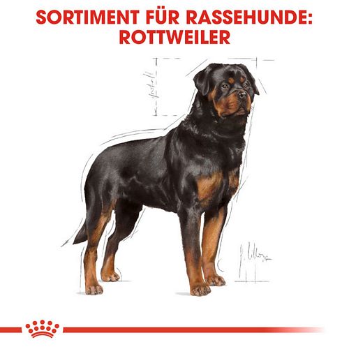 Royal Canin Rottweiler Adult Trockenfutter