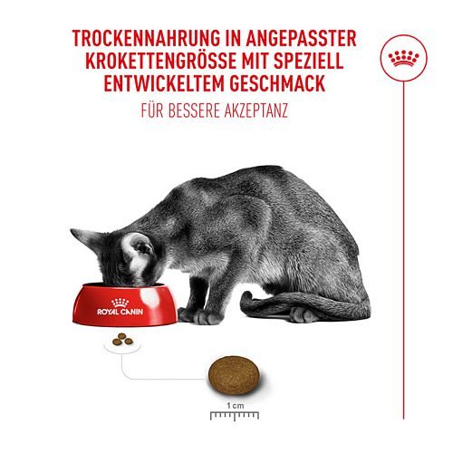 Royal Canin Fussy Exigent Trockenfutter Katze Krokettengröße