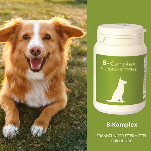 reboVet - B-Komplex - 100 Tabs
