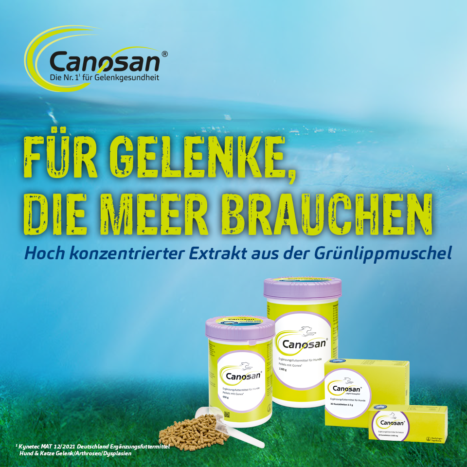 Für Gelenke die Meer brauchen Für Gelenke die Meer brauchen
