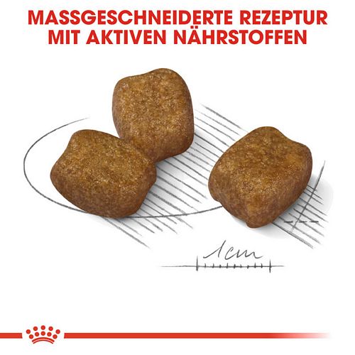 Royal Canin DENTAL CARE MINI Trockenfutter Kroketten