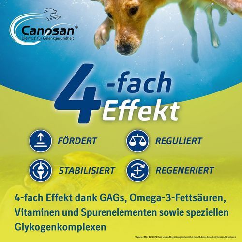 Canosan bei Gelenkbeschwerden für Hunde von Boehringer Ingelheim