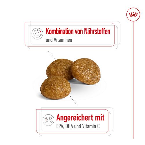 Royal Canin X-SMALL Adult 8+ Trockenfutter für sehr kleine Hunde 1,5kg