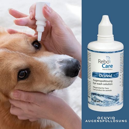 Ocuvid Lösung ins Auge
