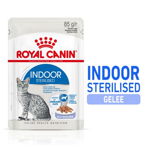 Royal Canin INDOOR Sterilised in Gelee Nassfutter für Wohnungskatzen