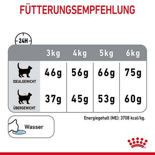 Royal Canin Dental Care Trockenfutter für Katzen 1,5kg