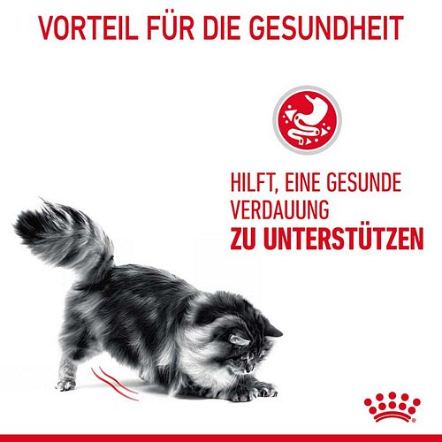 Royal Canin Digestive Care Trockenfutter für Katzen mit empfindlicher Verdauung