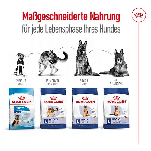 Royal Canin MAXI Ageing 8+ Trockenfutter Lebensphasen