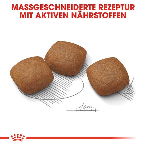 Royal Canin JOINT CARE MAXI Trockenfutter Kroketten