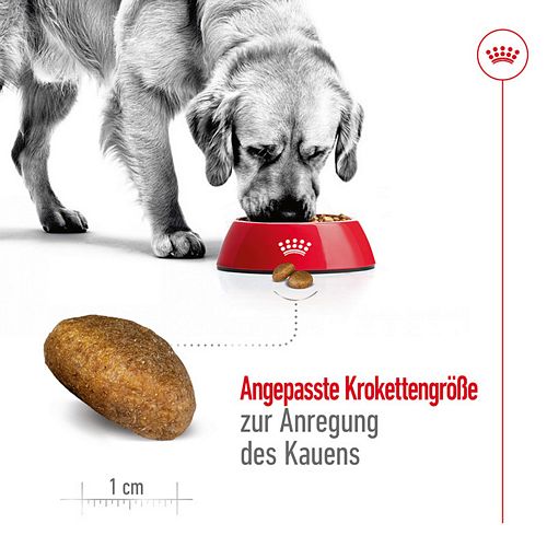 Royal Canin MAXI Adult Trockenfutter für große Hunde Krokette