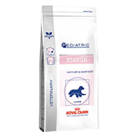 Royal Canin Starter Digest und Defences Canine 12 kg Trockenfutter