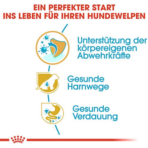 Royal Canin Dalmatian Puppy Welpenfutter für Dalmatiner Vorteile