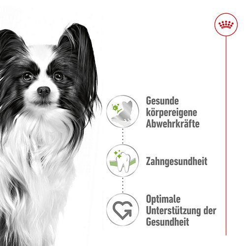 Royal Canin X-SMALL Adult Trockenfutter für sehr kleine Hunde Vorteile