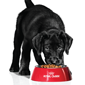 Royal Canin Markenshop Royal Canin Markenshop