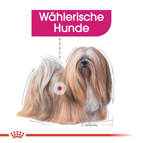 wählerischer Hund