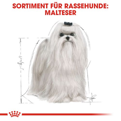 Royal Canin Maltese Adult Hundefutter trocken