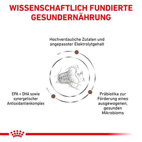 Royal Canin Veterinary GASTROINTESTINAL FIBRE RESPONSE  Trockenfutter für Katzen 4 kg