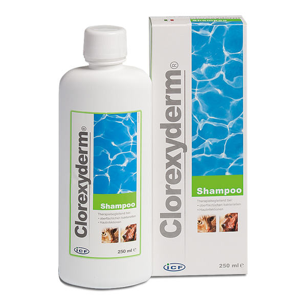 iCF Clorexyderm Shampoo für Hunde und Katzen - 250 ml