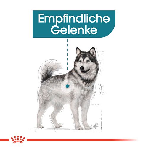 empfindlichen Gelenke